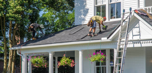 Best Metal Roofing Installation  in Petersburg, IN